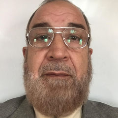 محمد نجيب سيد أحمد, Area Manager