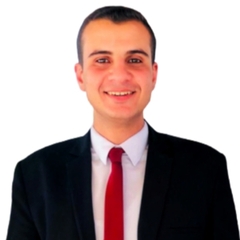 Ahmed Abdelwahab, SAP FICO Consultant