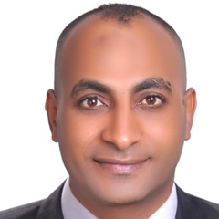 Amin Abdelmohsen, Sales Team Leader