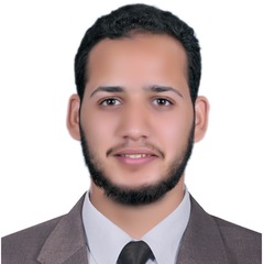 Abu Bakr Mohamed Salem Mohamed