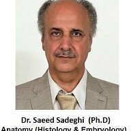 Saeed Sadeghi