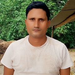 Jay Maurya