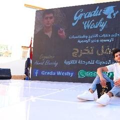 ahmed elweshy