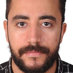 Hady Elkut