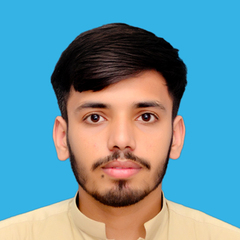 mohsin siddique siddique