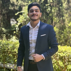 Robil Sabek, Business Analyst