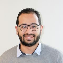 أحمد يسري, SAP Team Leader MM/SD 
