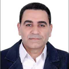 Mohamed Abd Elaal, Chief Accountant