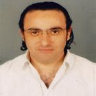 Ali Mohamed Eissawy, Director