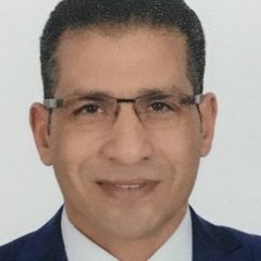 Ibrahim  Abdeljalil Sherif, Business Excellence Director