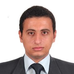 Bishoy Bekheit, Business Development Executive