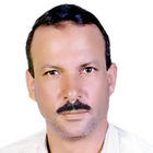 سعد أحمد المرسي محمد, مدير مشروع