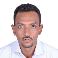 ناجح احمد, Customer Sales Assistant Manager