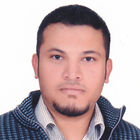Mohamed Soubhi Ibrahim, Export Department