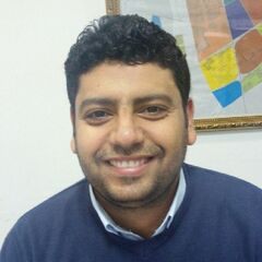 Ahmed Ismail, Import Manager