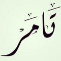 Tamer al-belbessy