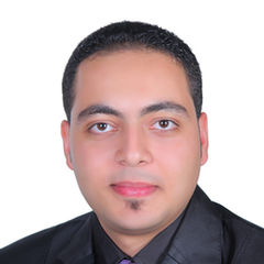 محمد الشبراوي, Project Lead Engineer