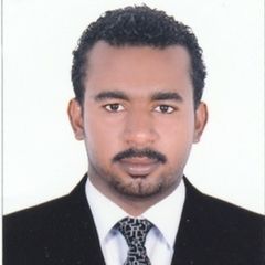 محمد احمد عزالدين احمد عزالدين, Sales Executive
