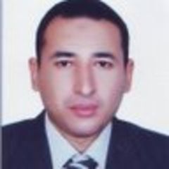 Hussein Ezzeldin Abouelwafa Hussein Elkholy, Operations Manager