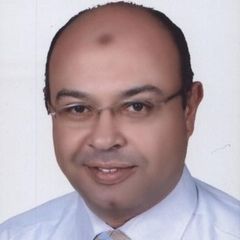 Mohamed Sayed Salem, Financial manager