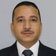 Ezzat Karam Taha Mohamed, Lawyer And Legal Consultant