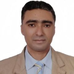 محمد السيد محمد العباسي, financial manager