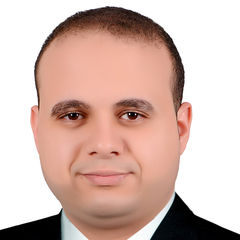 Mostafa Issa, accountant