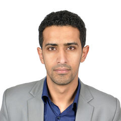 Haytham Al-Saidi, استشاري