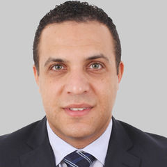 Mohamed Samir, Team Leader
