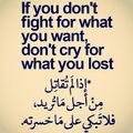 Alaa Lole