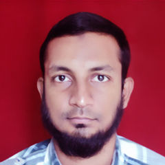 Mohammed Muzakkir Mohiuddin, Digital Marketing Analyst