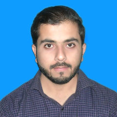 Rameez Raza, Computer Operator