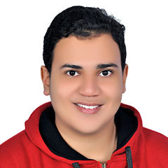 Ahmed Samy Ali Salem