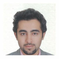 مالك غزو, Management Consultant
