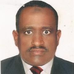 زاهر عمر حسين محمد القلوباوي القلوباوي, GP AND MEDICAL DIRECTOR
