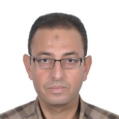 Mohamed Abdelwahab, Project Manager