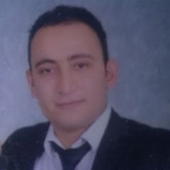 حسام الدين يوسف محروس الشرقاوى الشرقاوي, Senior Banking Accountant