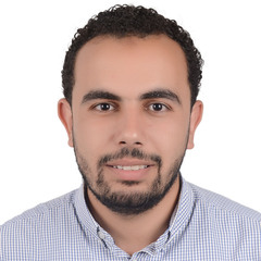 Mohamed  Elsayed , Senior planning Engineer