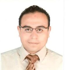 Mohamed Magdy, Senior Projects Manager