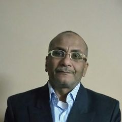 Mohamed Abdel Sattar عبدالستار, محاسب موقع / مراجع مالي لجميع المعاملات المالية للمكتب الرئيسي بتبوك