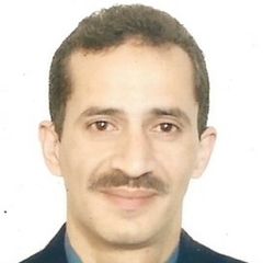 Ashraf Hamouda, مسؤول مبيعات