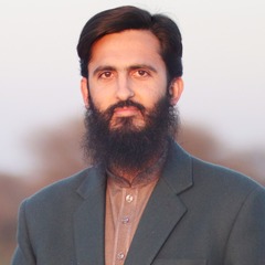 Muhammad Ahmed Raza, Web Developer & Technical Support Head
