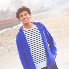 Houssam Eldine Moustafa Muhammed