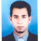 أحمد فوزي, Sales representative