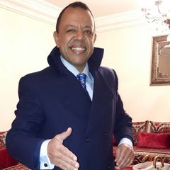 fouad talbi, consultant senior