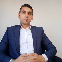 Ahmed Hany, Senior Accountant