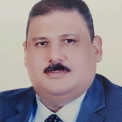 Walid Hassan