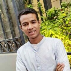 Abdelghany Ahmed, مهندس مدني