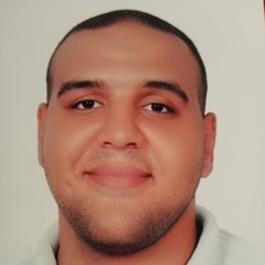 Adham Khaled Abdel Wahab, Flutter Developer