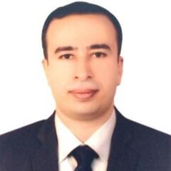 Tamer Madian, Finance Manager